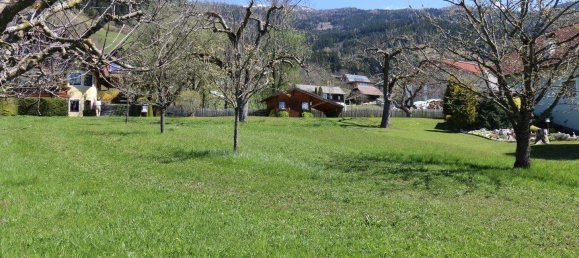 Land in Millstatt am See, Austria No. 256867 4