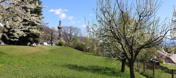 Land in Millstatt am See, Austria No. 256867 6