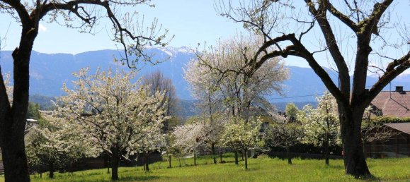 Land in Millstatt am See, Austria No. 256867 9