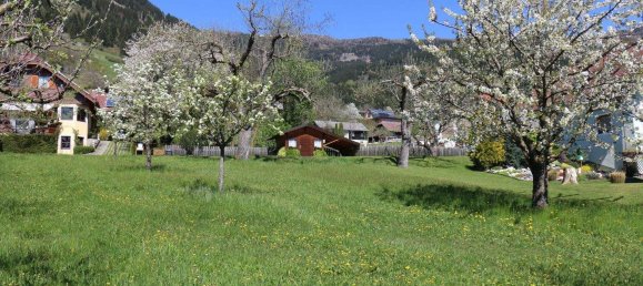 Land in Millstatt am See, Austria No. 256867 12
