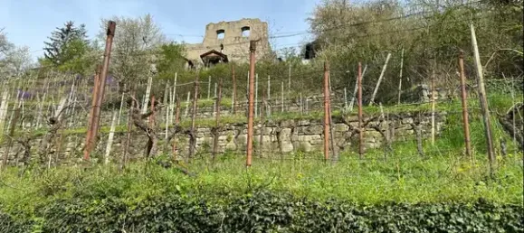 9 rooms House in Baden-Wurttemberg, Germany No. 95940 11