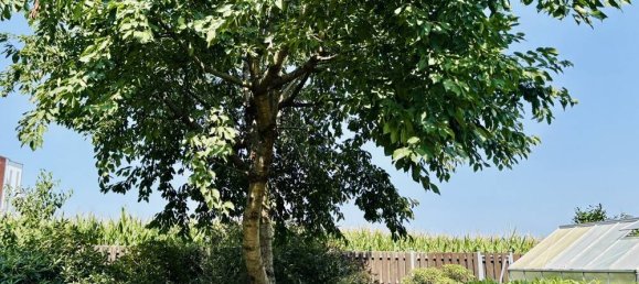 4 rooms Bungalow in Hanover, Germany No. 320520 5