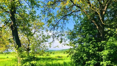 Terrain à Eisenstadt Umgebung, Austria No. 162887