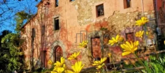 30000m² Land in Vallromanes, Spain No. 143027 28