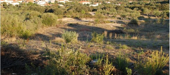 Terreno en Golega, Portugal 5771 m² No. 64164 2