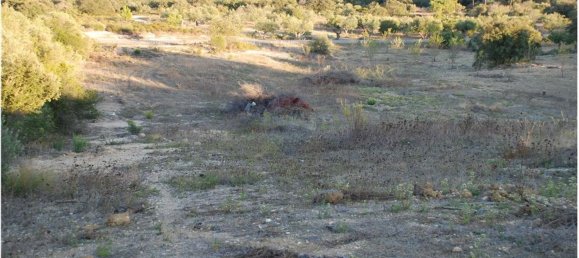 Terreno en Golega, Portugal 5771 m² No. 64164 3