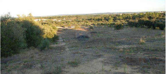 Terreno en Golega, Portugal 5771 m² No. 64164 4