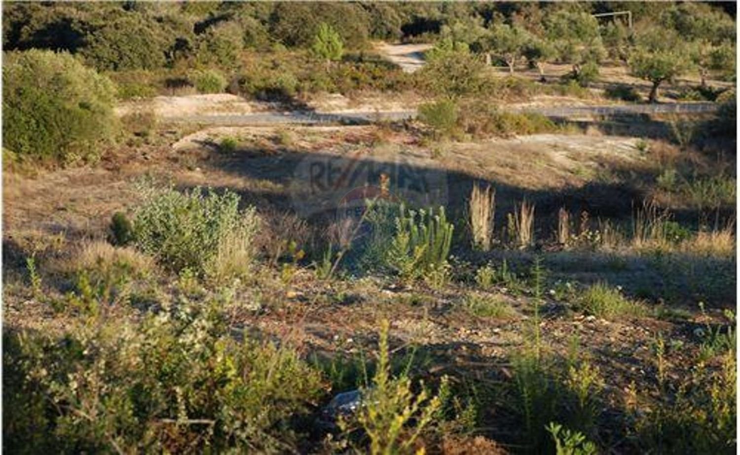 Terreno en Golega, Portugal 5771 m² No. 64164