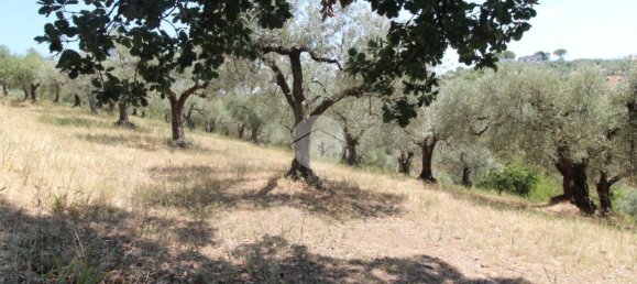 17680m² Land in Fara in Sabina, Italy No. 120622 5