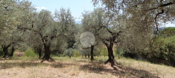 17680m² Land in Fara in Sabina, Italy No. 120622 9