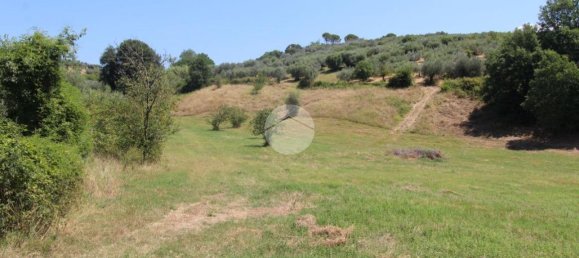 17680m² Land in Fara in Sabina, Italy No. 120622 12