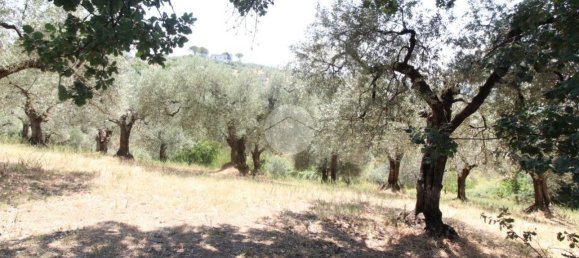 17680m² Land in Fara in Sabina, Italy No. 120622 6