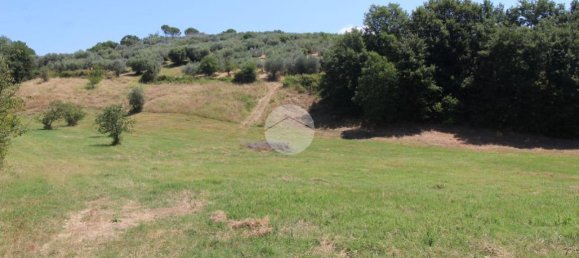 17680m² Land in Fara in Sabina, Italy No. 120622 10