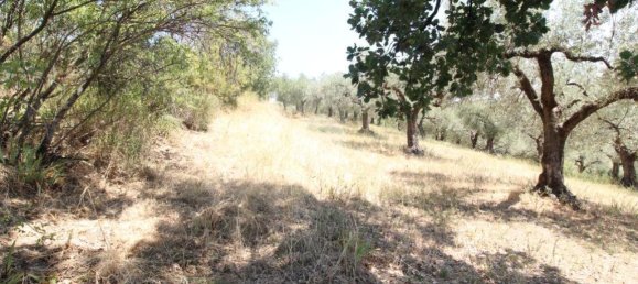 17680m² Land in Fara in Sabina, Italy No. 120622 14