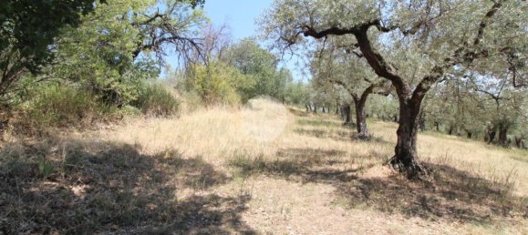 17680m² Land in Fara in Sabina, Italy No. 120622 2
