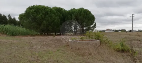 29670m² Land in Canha, Portugal No. 72347 29