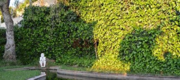 Замки и поместья с 6 спальнями в Силвиш, Португалия № 151027 5