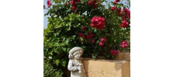 Замки и поместья с 6 спальнями в Силвиш, Португалия № 151027 31