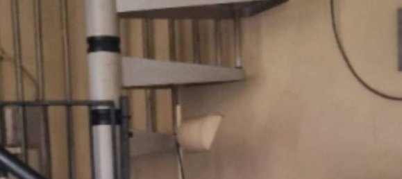 2غرفة شقة في Busto Garolfo, Italy رقم 11785 4