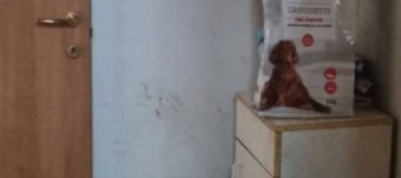 2غرفة شقة في Busto Garolfo, Italy رقم 11785 5