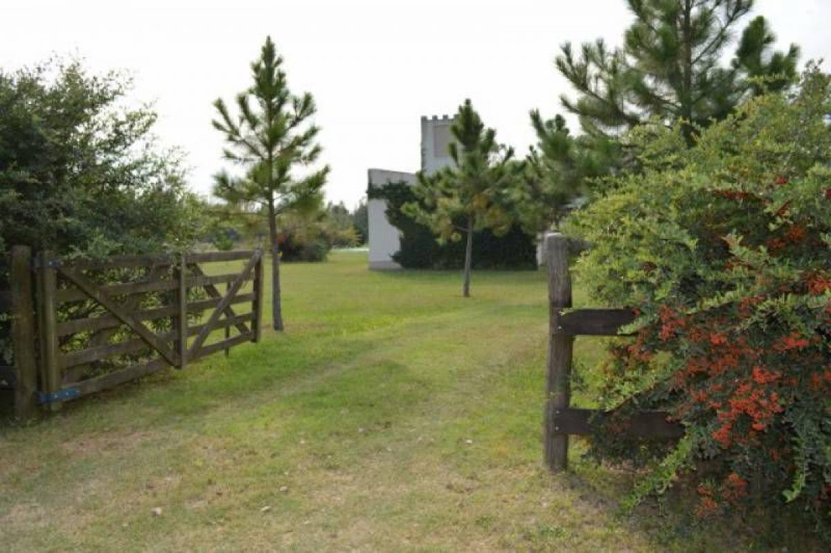 4 bedrooms House in Buenos Aires, Argentina No. 95220