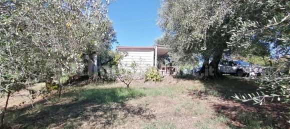 4650m² Land in Sant'Angelo Romano, Italy No. 149869 5