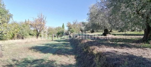 4650m² Land in Sant'Angelo Romano, Italy No. 149869 7