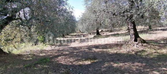 4650m² Land in Sant'Angelo Romano, Italy No. 149869 4