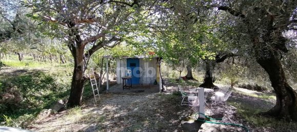 4650m² Land in Sant'Angelo Romano, Italy No. 149869 3