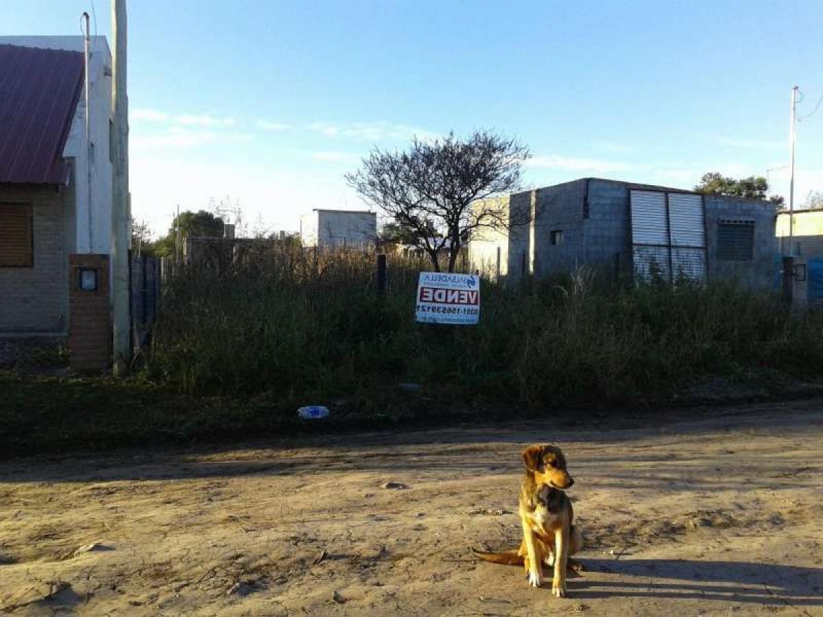 Grundstück in Cordoba, Argentina, Nr. 45074