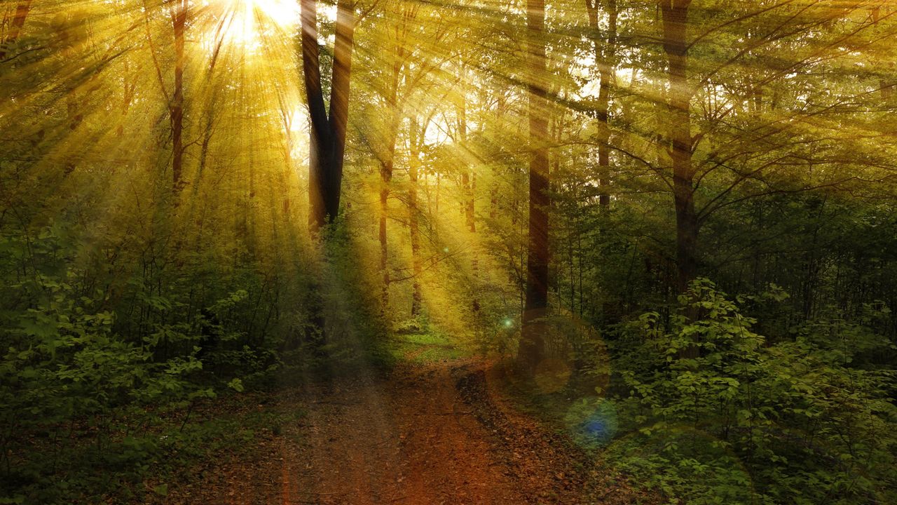 Земельный участок 129000м² в Лан-Дилль, Германия № 165835