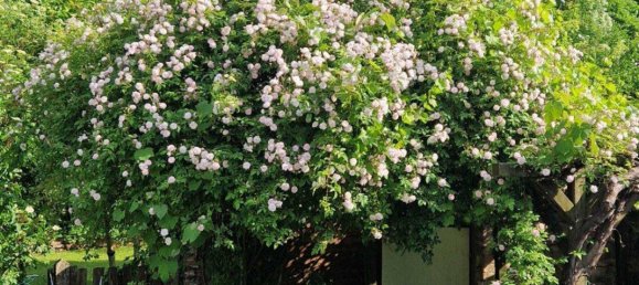 Casa de 4 divisões em Liesing, Austria N.º 257382 8