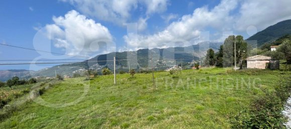  قطعة أرض في Lago, Italy 5858متر مربع رقم 134191 17