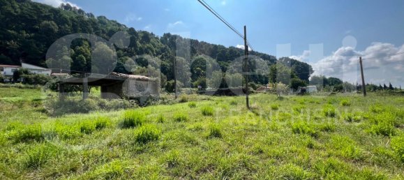  قطعة أرض في Lago, Italy 5858متر مربع رقم 134191 14