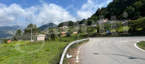  قطعة أرض في Lago, Italy 5858متر مربع رقم 134191 3