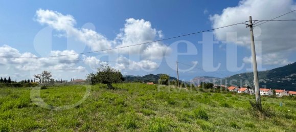  قطعة أرض في Lago, Italy 5858متر مربع رقم 134191 12