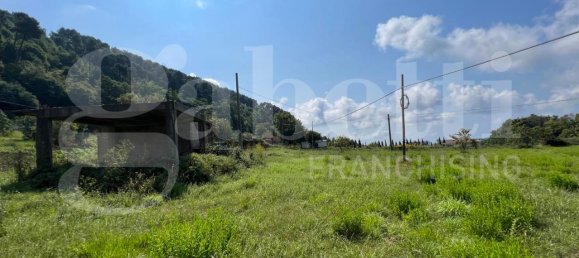  قطعة أرض في Lago, Italy 5858متر مربع رقم 134191 10