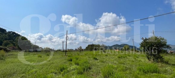  قطعة أرض في Lago, Italy 5858متر مربع رقم 134191 11