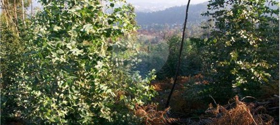 1200m² Land in Vila Verde, Portugal No. 31209 2