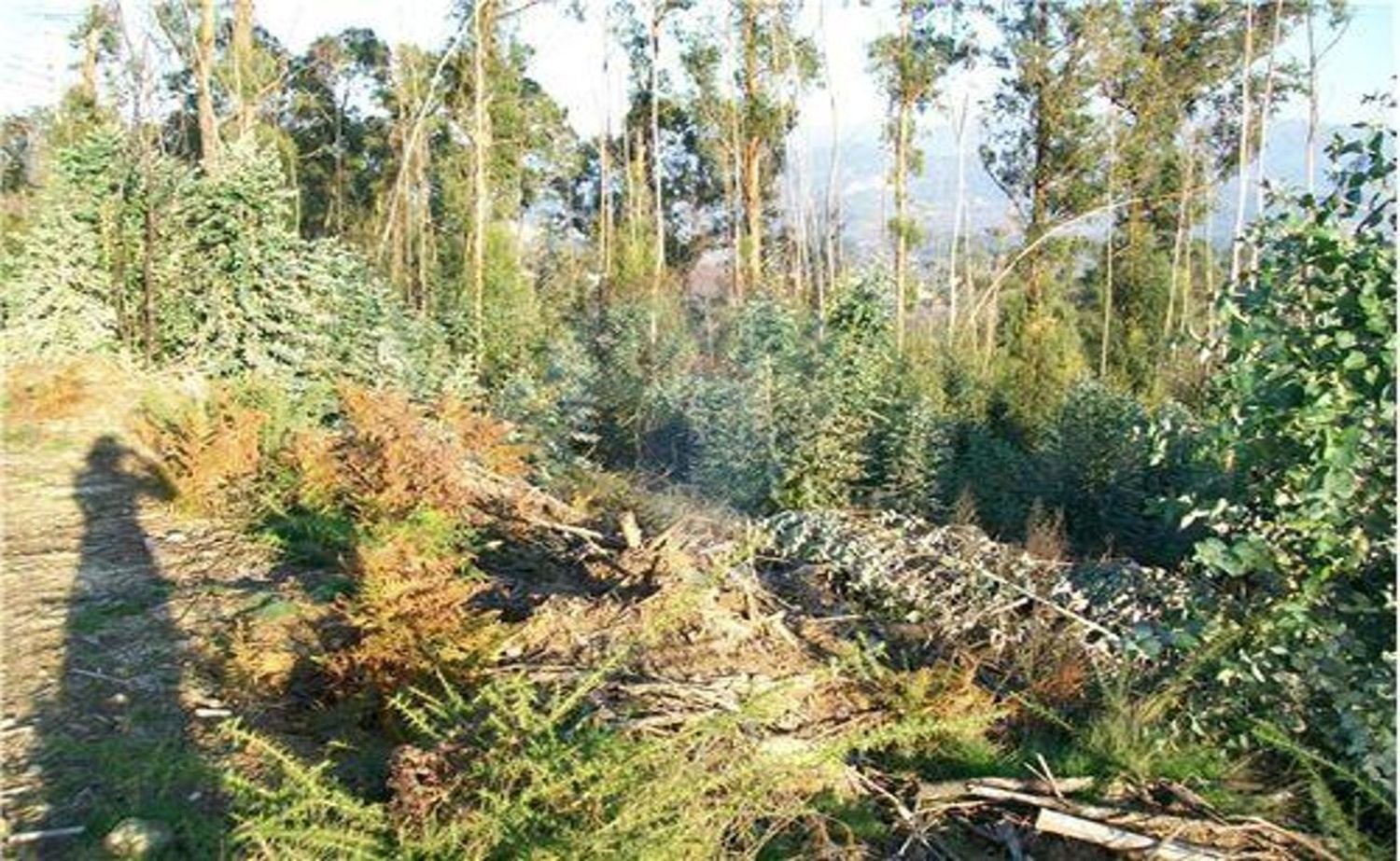 1200m² Land in Vila Verde, Portugal No. 31209