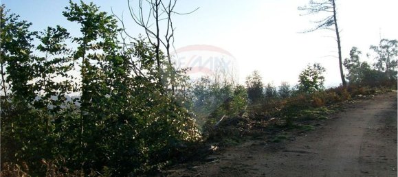 1200m² Land in Vila Verde, Portugal No. 31209 4