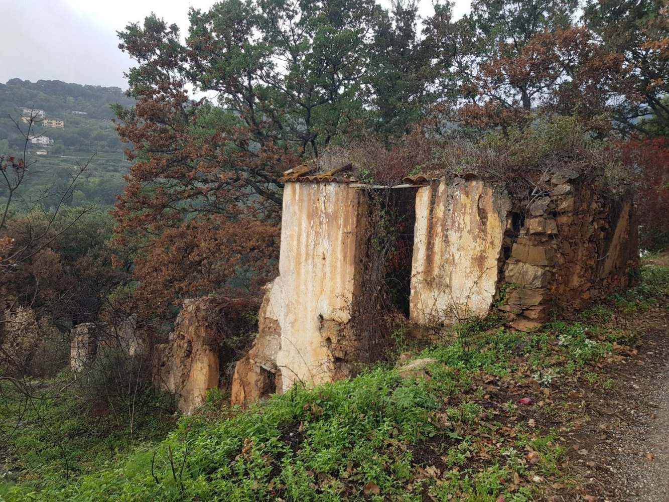  قطعة أرض في Lamezia Terme, Italy 6600متر مربع رقم 14334