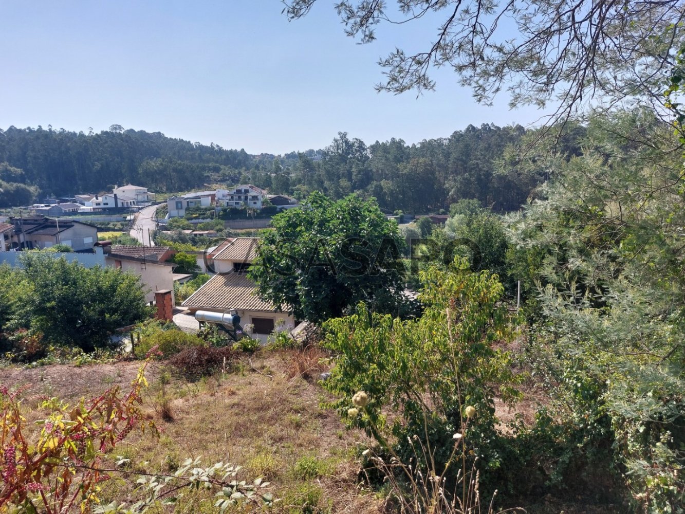 2 Schlafzimmer Haus in Agueda, Portugal, Nr. 219043
