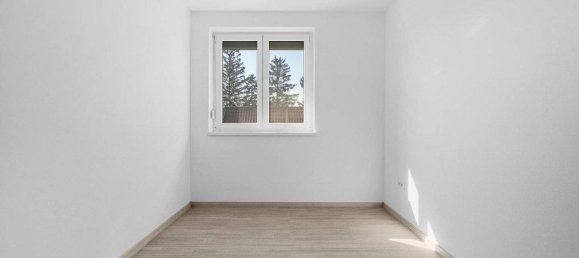 Дом с 7 комнатами в Вильферсдорф, Австрия № 132360 17