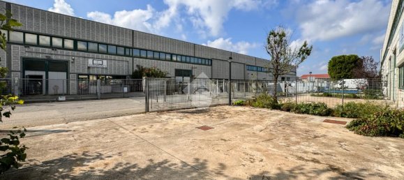 1-Zimmer Lagerhaus in Zelo Buon Persico, Italy, Nr. 61119 6