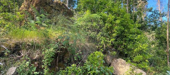 3 غرف نوم منزل في Barcelos, Portugal رقم 42863 3