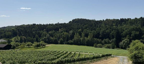 7 rooms House in Burgauberg-Neudauberg, Austria No. 202303 7