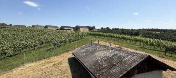 7 rooms House in Burgauberg-Neudauberg, Austria No. 202303 8