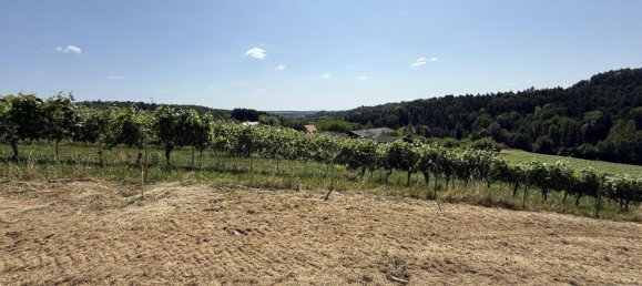 7 rooms House in Burgauberg-Neudauberg, Austria No. 202303 2