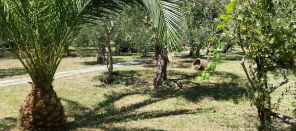 4غرفة شقة في Diano Marina, Italy رقم 291836 5